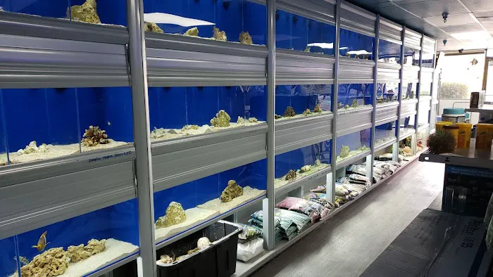 Limited Edition Corals Aquariums Picture 3