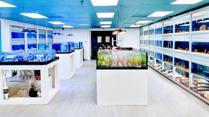 Limited Edition Corals Aquariums Picture 9
