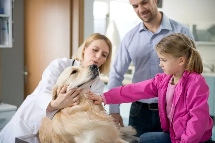 Gemcore Veterinary Services Picture 10