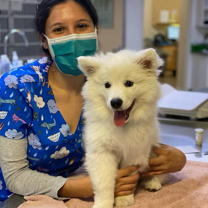 VCA Chatsworth Veterinary Center Picture 8