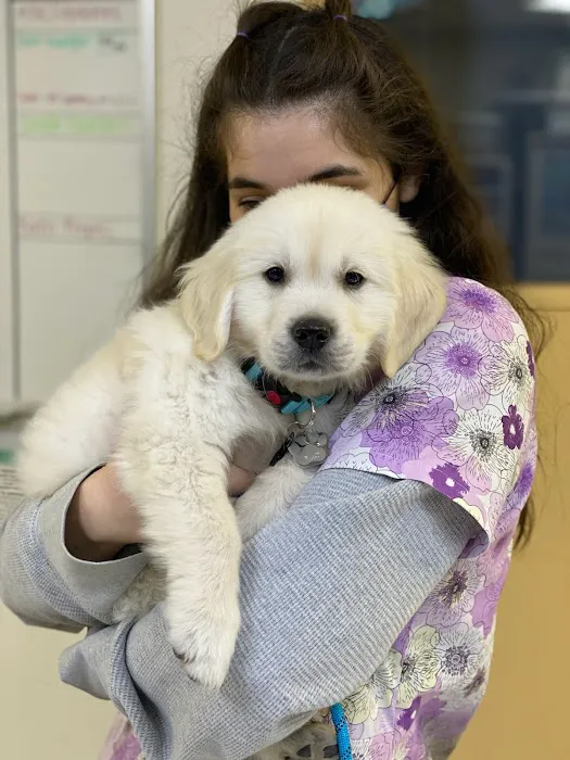 VCA Chatsworth Veterinary Center Picture 5