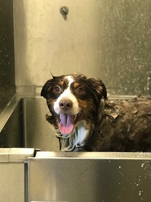 VCA Chatsworth Veterinary Center Picture 9