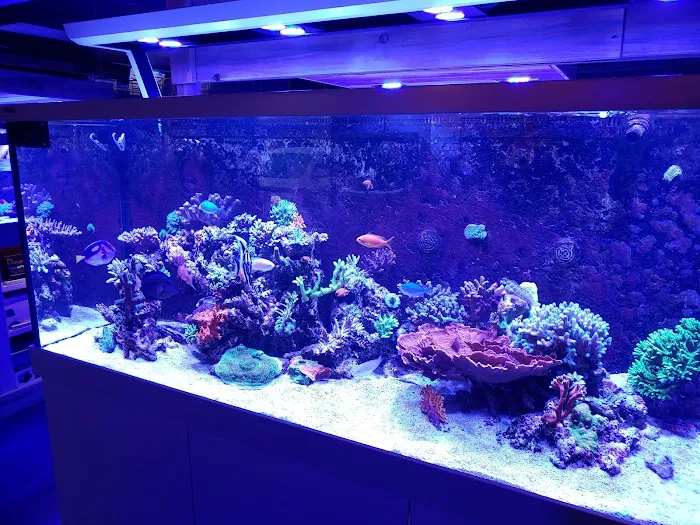 Kona Reef Az - Phoenix Picture 1
