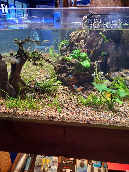Kona Reef Az - Phoenix Picture 7