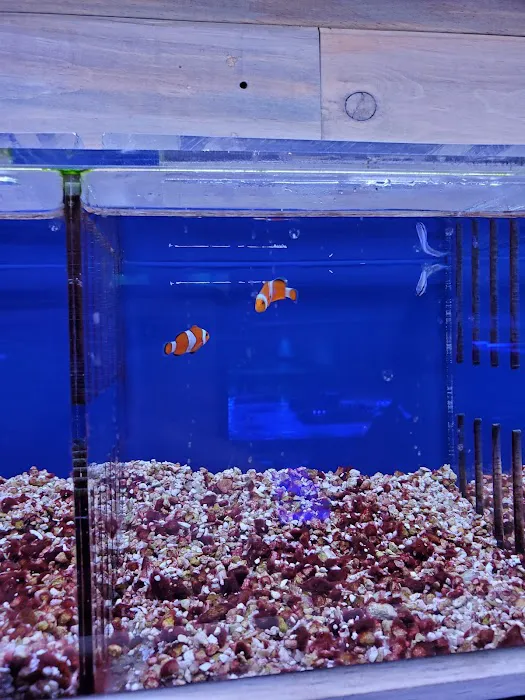 Kona Reef Az - Phoenix Picture 6