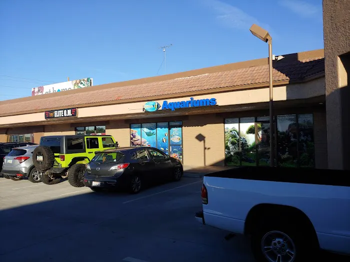 Kona Reef Az - Phoenix Picture 10