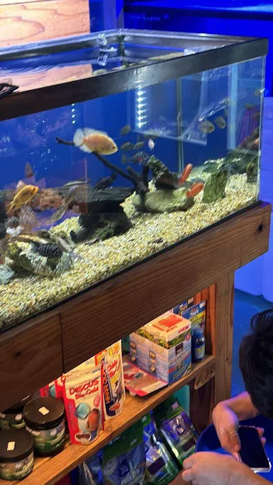Kona Reef Az - Phoenix Picture 8