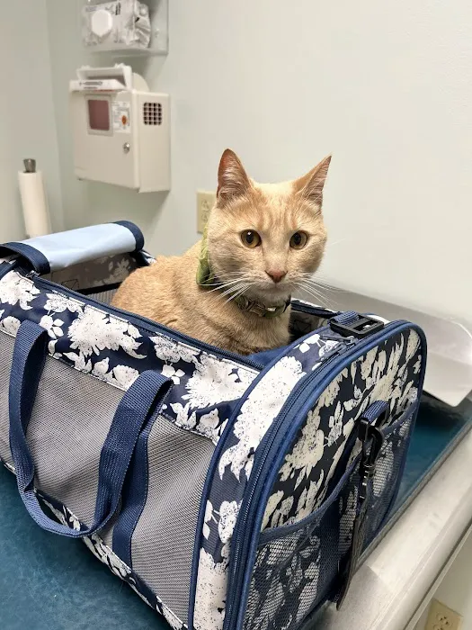 Nordhoff Veterinary Hospital Picture 4