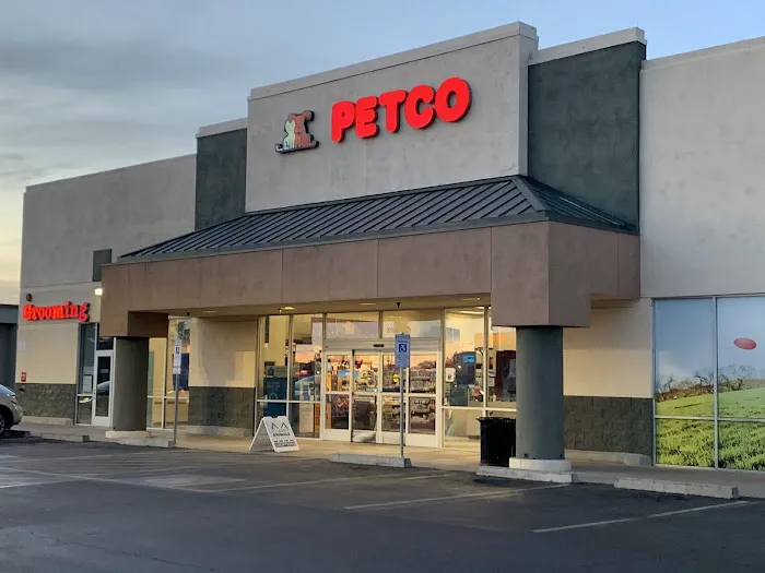Petco Picture 4