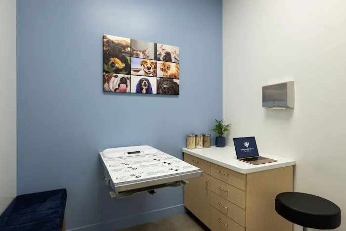 Woodland Hills Pet Clinic Picture 10