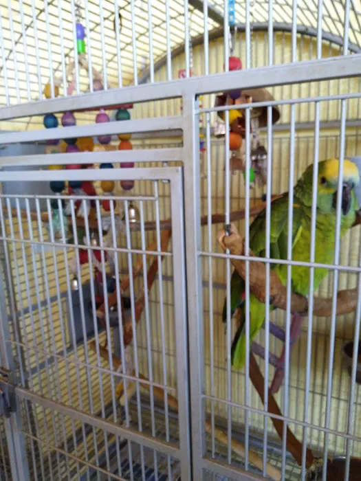 Just Beak-Cause, Inc. Picture 9