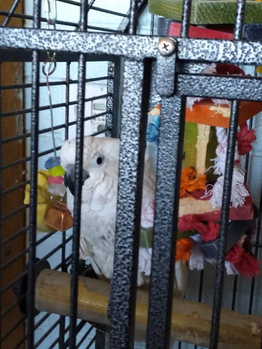 Just Beak-Cause, Inc. Picture 10