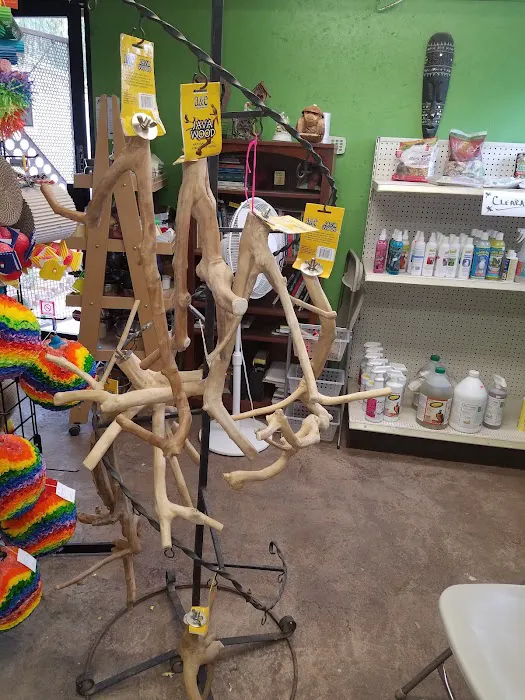 AZ Exotic Bird Rescue, Inc. Picture 4