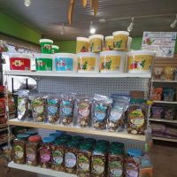 AZ Exotic Bird Rescue, Inc. ico