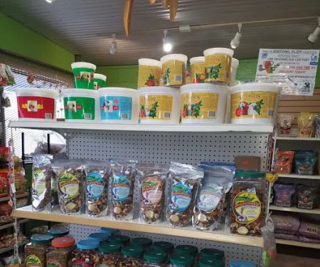 AZ Exotic Bird Rescue, Inc.