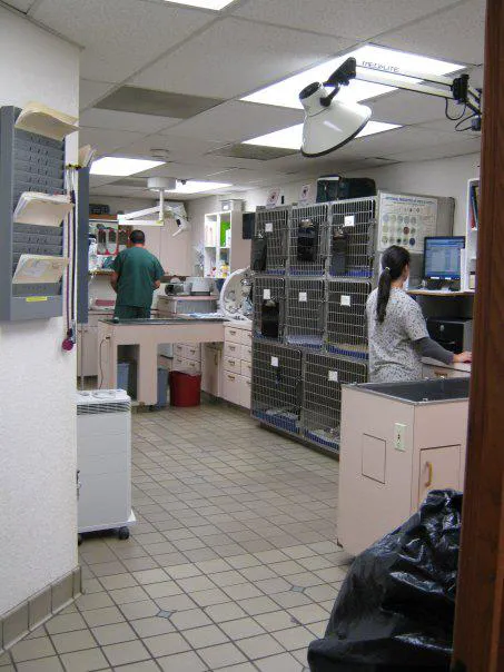 Pacific Palisades Veterinary Center Picture 9