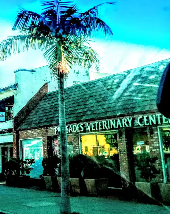 Pacific Palisades Veterinary Center Picture 10
