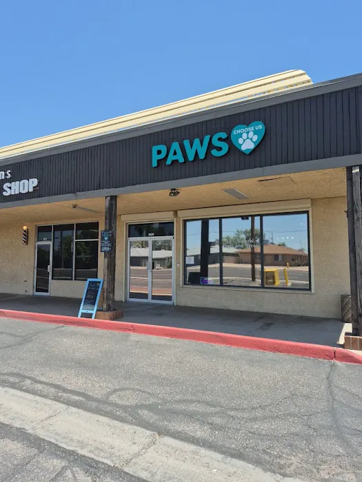 Paws Choose Us Picture 8