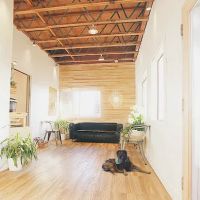 Malibu Vet Clinic ico