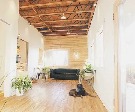 Malibu Vet Clinic