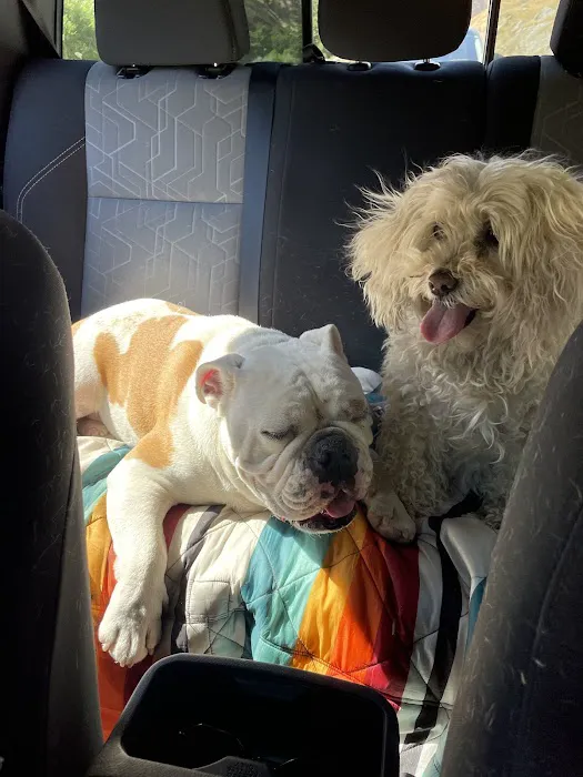 Malibu Vet Clinic Picture 7