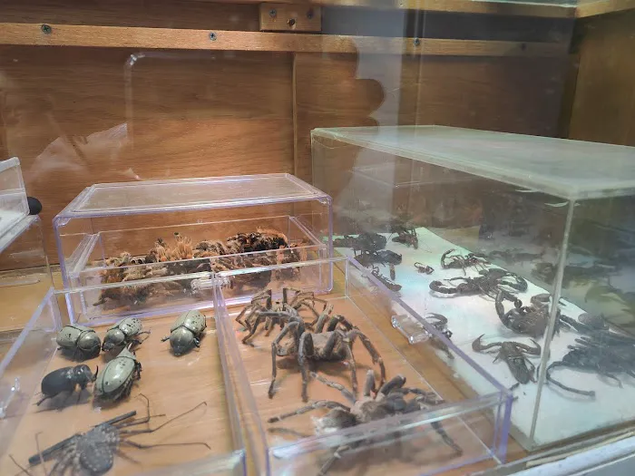 CUSTOM CREATURES PET SHOP Picture 3