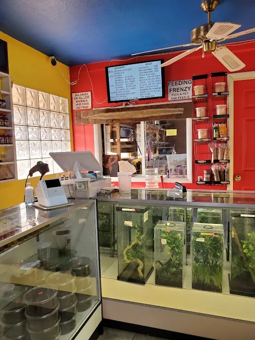 CUSTOM CREATURES PET SHOP Picture 2