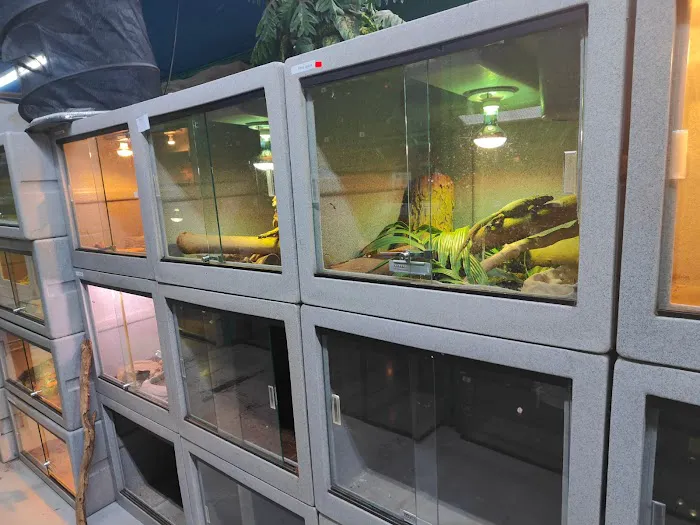 CUSTOM CREATURES PET SHOP Picture 6