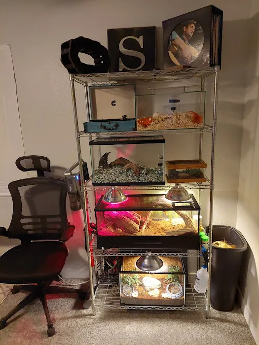 CUSTOM CREATURES PET SHOP Picture 5