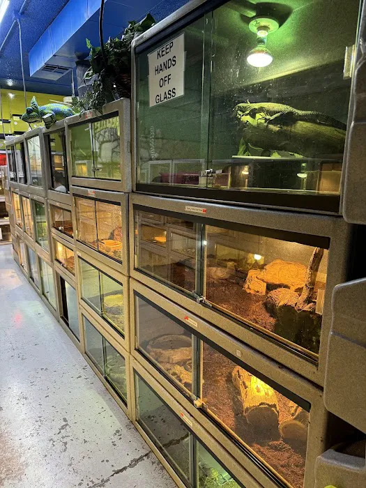 CUSTOM CREATURES PET SHOP Picture 8