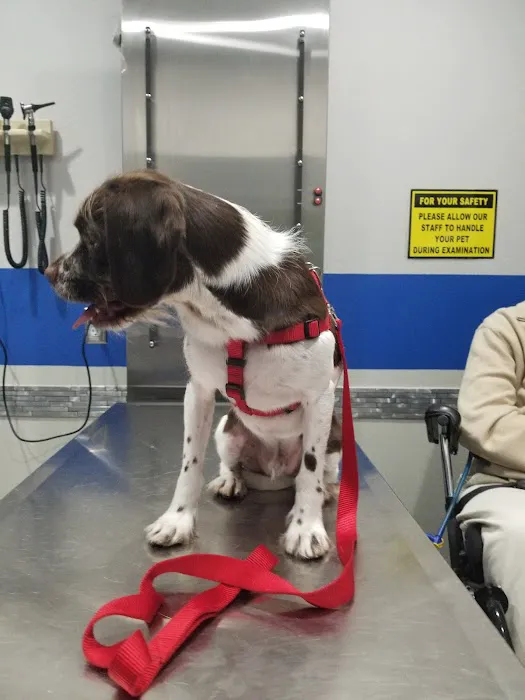 Value Vet Canoga Park Picture 1
