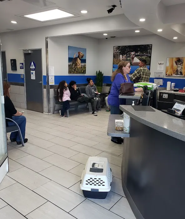 Value Vet Canoga Park Picture 4