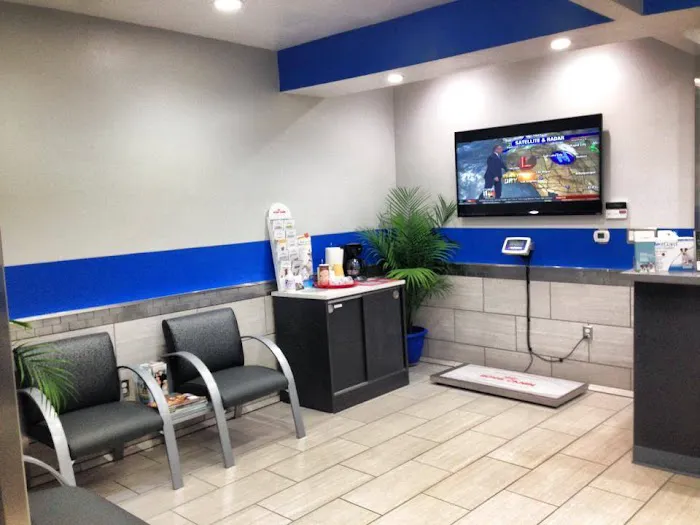 Value Vet Canoga Park Picture 9