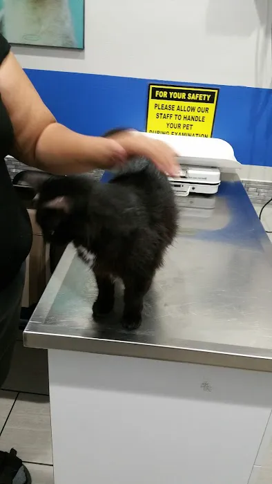 Value Vet Canoga Park Picture 10