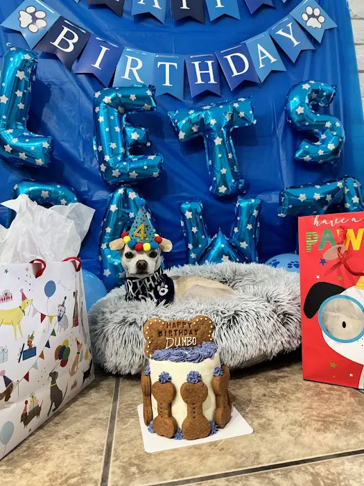 Donnie's Doggie Desserts LLC Picture 7