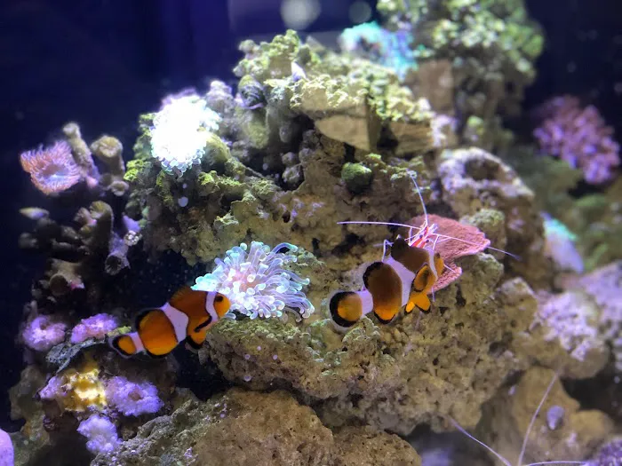 That Big Fish Store Picture 3