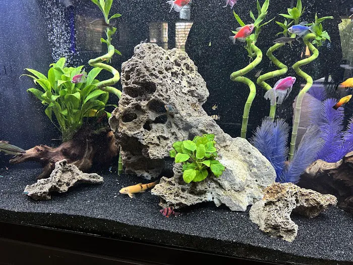 That Big Fish Store Picture 1
