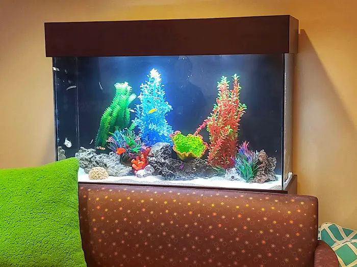 That Big Fish Store Picture 10