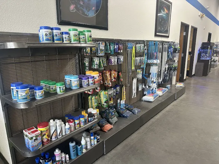 That Big Fish Store Picture 4