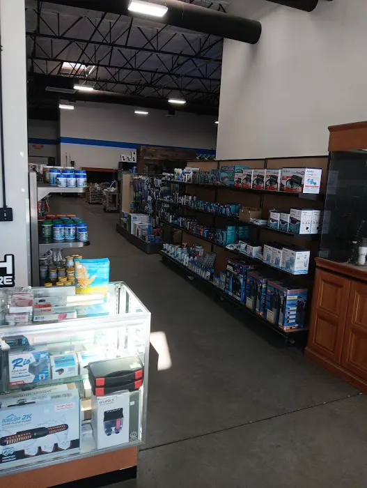 That Big Fish Store Picture 3