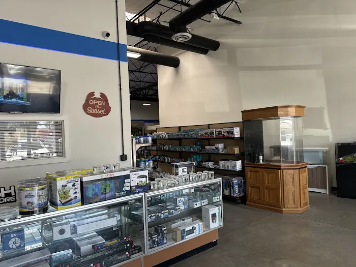 That Big Fish Store Picture 9