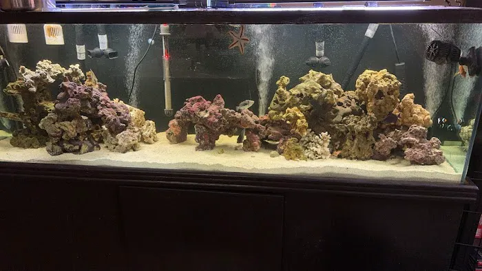 That Big Fish Store Picture 10