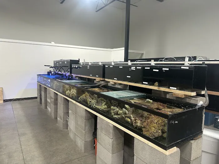 That Big Fish Store Picture 6