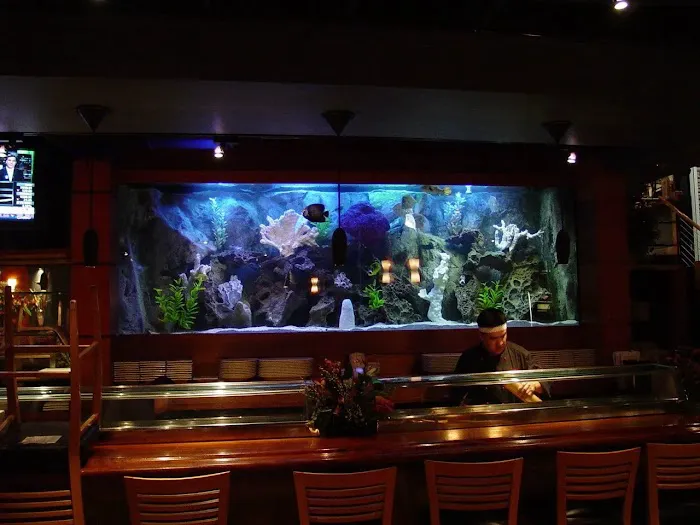 Southwest Seas Picture 5