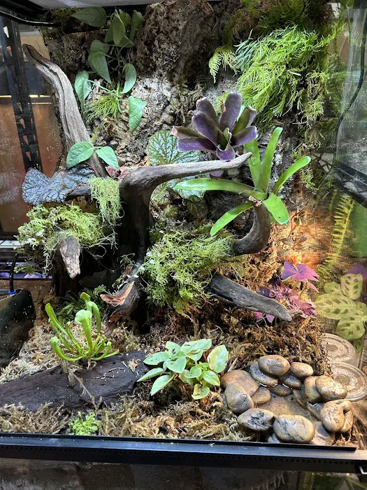 Moonshine Reptiles Arizona LLC Picture 3