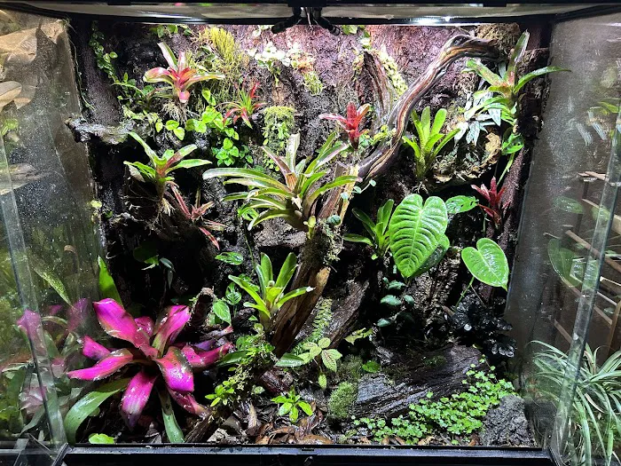 Moonshine Reptiles Arizona LLC Picture 7