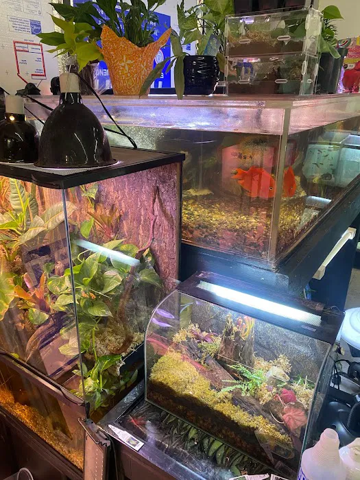 Moonshine Reptiles Arizona LLC Picture 9