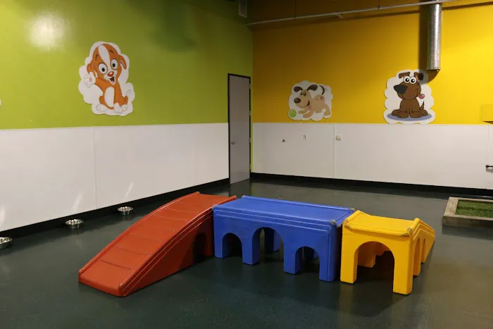 Warner Center Pet Clinic: Jackson Debra DVM Picture 2