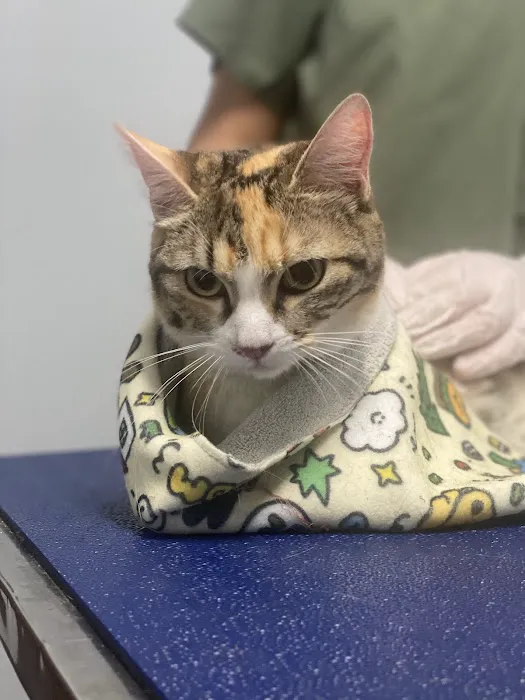 Warner Center Pet Clinic Picture 9