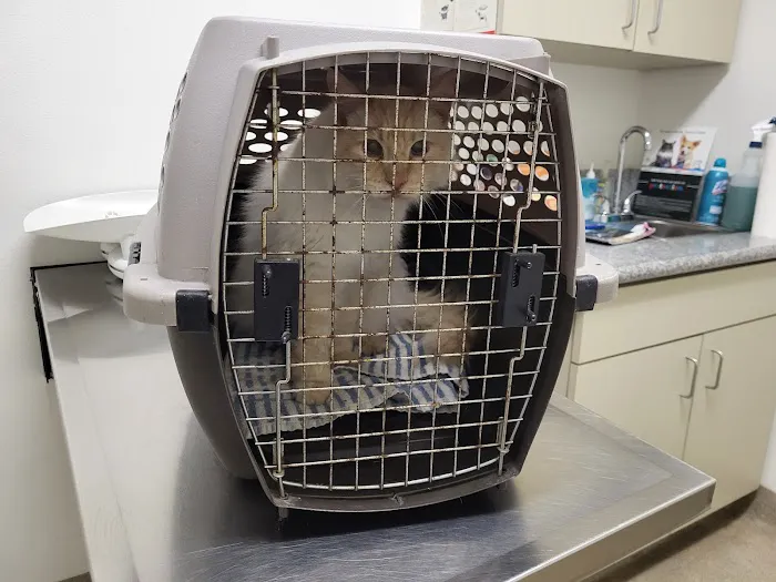 Winnetka Animal Clinic Picture 7
